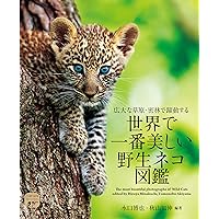 株式会社ラーテルハート 神の獣 雪豹 ―The Eidolon, Snow Leopard